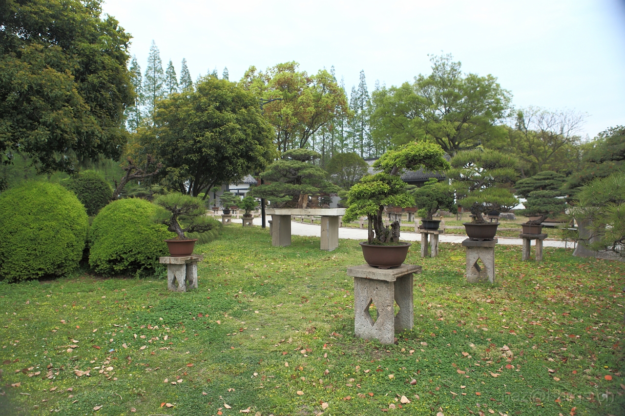 EOS 5D Mark II16_04_20135088.JPG